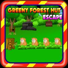 Escape Games 2019  Green Forest Hut截图3