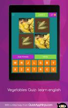 Vegetables Quiz learn english截图4