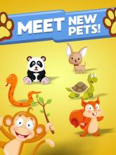 Merge Pets & Animals截图3