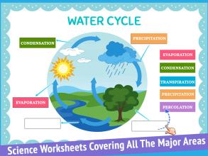 Science Learning Worksheets截图2