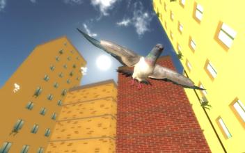 Pigeon Simulator截图4