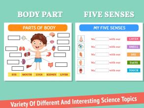 Science Learning Worksheets截图4