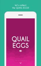 The Quail Eggs截图5