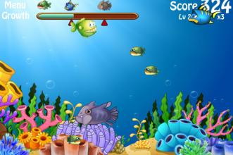 Fish Big Eat Small Fish截图4