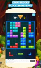 Block Puzzle 2019  Pro Puzzle Game截图1