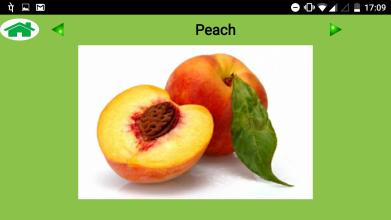 Fruits and Vegetables Learning App For Kids截图4