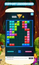 Block Puzzle 2019  Pro Puzzle Game截图3