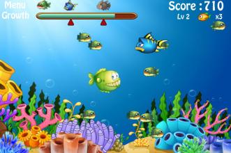 Fish Big Eat Small Fish截图2