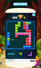 Block Puzzle 2019  Pro Puzzle Game截图4