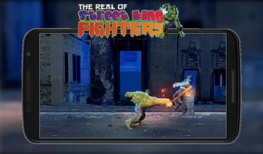 The Real Of Street King Fighters截图1