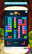 Block Puzzle 2019  Pro Puzzle Game截图2