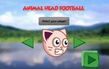 Animal Head Football截图3