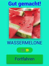 * 250+ GUESS FRUITS AND VEGETABLES ON GERMAN截图2