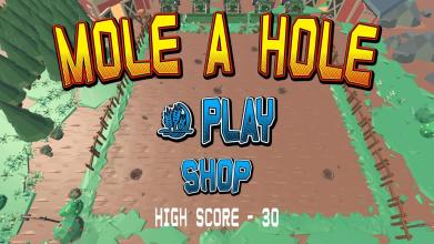 Mole A Hole截图3