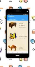 Animal Sound for Kids Indonesia截图2