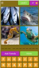 1 Answer 4 Pictures  No Ads截图5