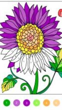 Paint.art - Paint By Number & Coloring Book截图