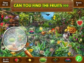 The Mystery Search - Hidden Objects Game截图2