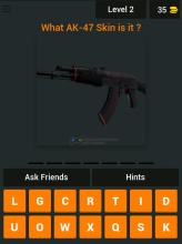 A CS:GO QUIZ - Name the Skin截图5