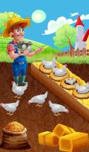 Chicken and Duck Poultry Farming Game截图3