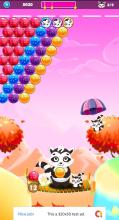 Kitten Bubble Shooter  Bubble Shooter截图1