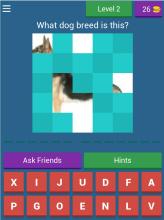 Dog Quiz  The popular dog breeds in the world截图5