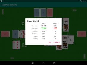 Expert Canasta Pro截图1