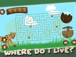 The Zoo Adventure截图3