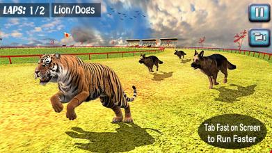 Wild Animal Racing Tournament 2019 Dog Racing截图3