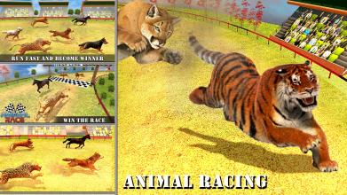 Wild Animal Racing Tournament 2019 Dog Racing截图4