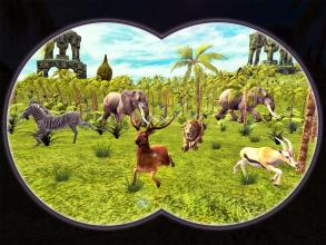 Safari Wild Animal Hunt截图3