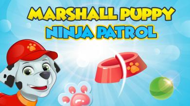 Paw Patrol - Marshall adventure!截图3