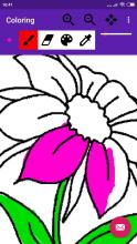 Coloring flowers截图5