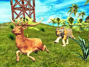 Safari Wild Animal Hunt截图1