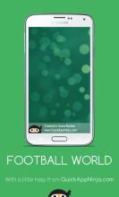 Football World截图3