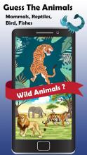 Animals quiz: Mammals, Reptiles, Birds, Fishes截图2