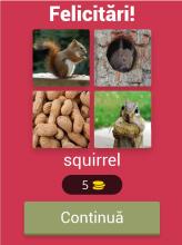 4 Photos 1 Word  Guess the Word截图3