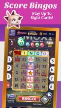 Celebrity Bingo   Multiplayer Bingo截图4