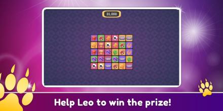 Lion Cards  help Leo solve our puzzles截图1