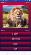 Animals quiz: Mammals, Reptiles, Birds, Fishes截图1