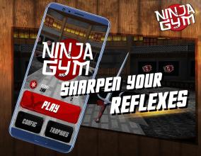 Ninja Gym截图4