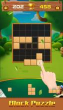 Block Puzzle - Woody Puzzle Plus截图2