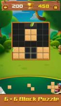 Block Puzzle - Woody Puzzle Plus截图5