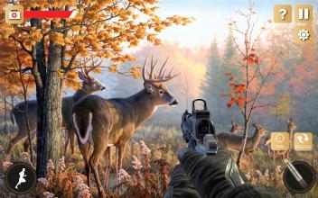 Wild Deer Hunt Animal Simulator截图1