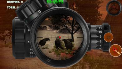 Birds Hunter 2019截图2