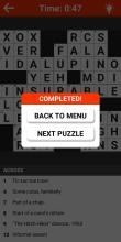 Crossword Puzzle Time截图1