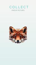 Animal Poly Art  Polysphere Puzzle Game截图2