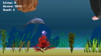 Hungry Dolphin Adventure Game截图5