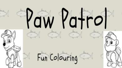 Paw Patrol Fun Colouring截图1