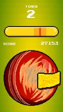 Sandy Balls Cricket截图4